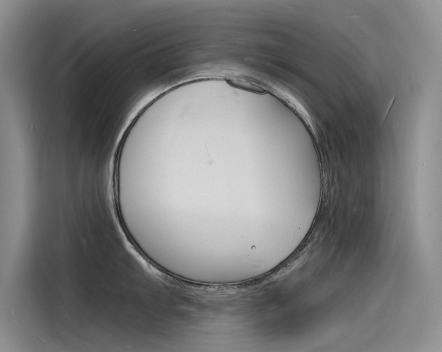X0000115841103200911131101