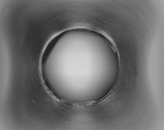 X0000115841104200911131101
