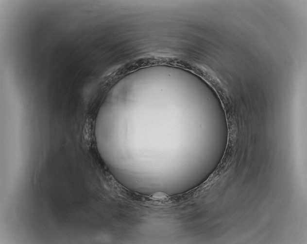 X0000115841110200911131101