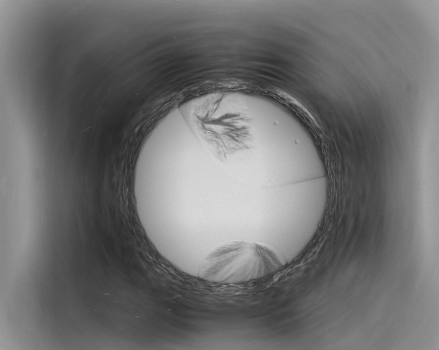 X0000115841111200911131101