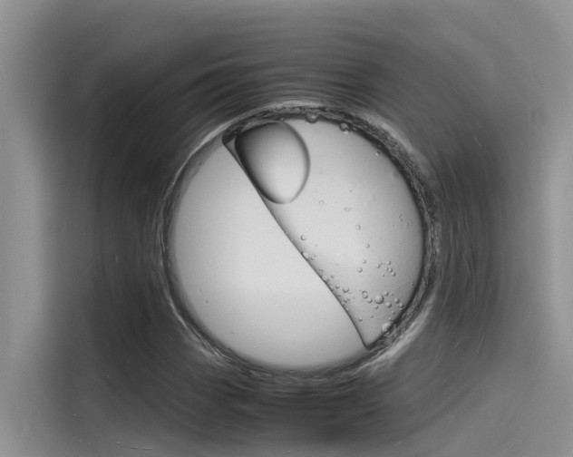 X0000115841113200911131101