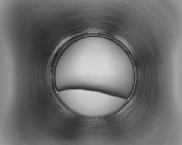 X0000115841115200911131101