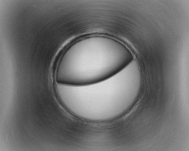 X0000115841118200911131101