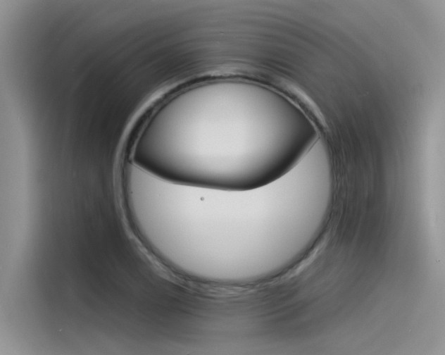 X0000115841122200911131101