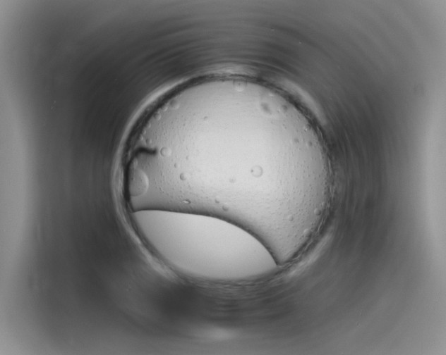 X0000115841125200911131101