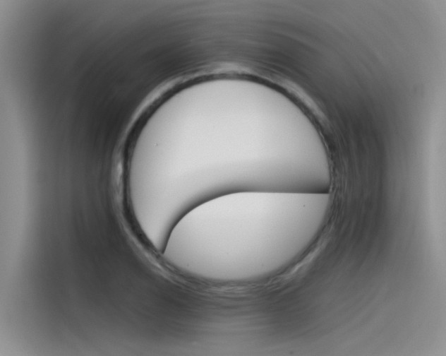 X0000115841126200911131101