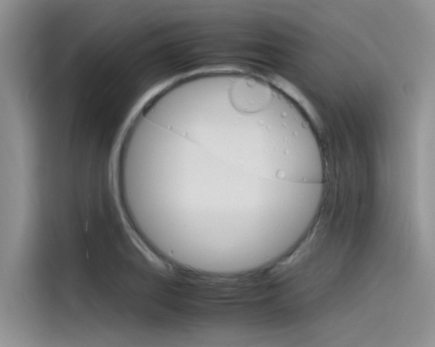 X0000115841127200911131101