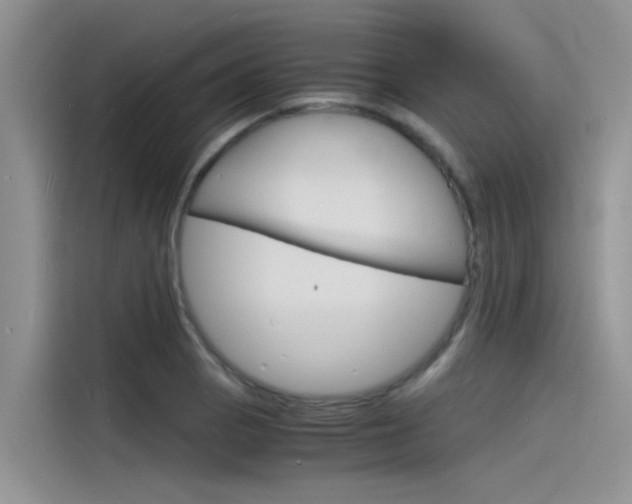 X0000115841129200911131101