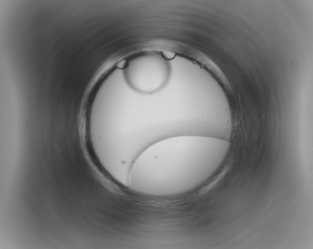 X0000115841130200911131101