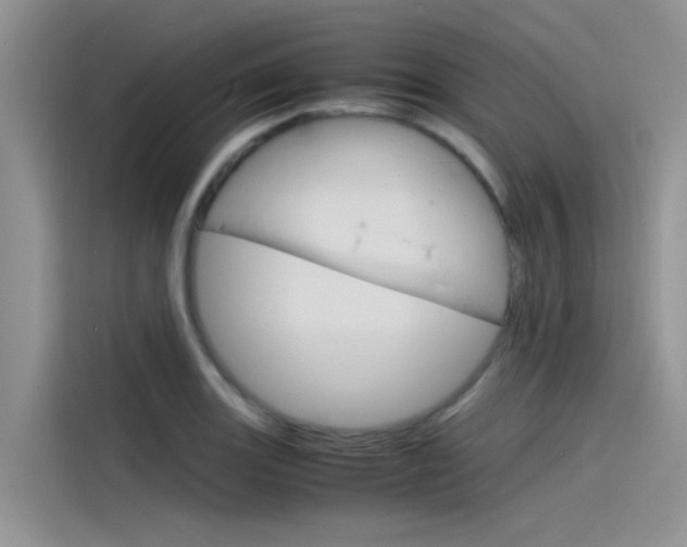 X0000115841131200911131101