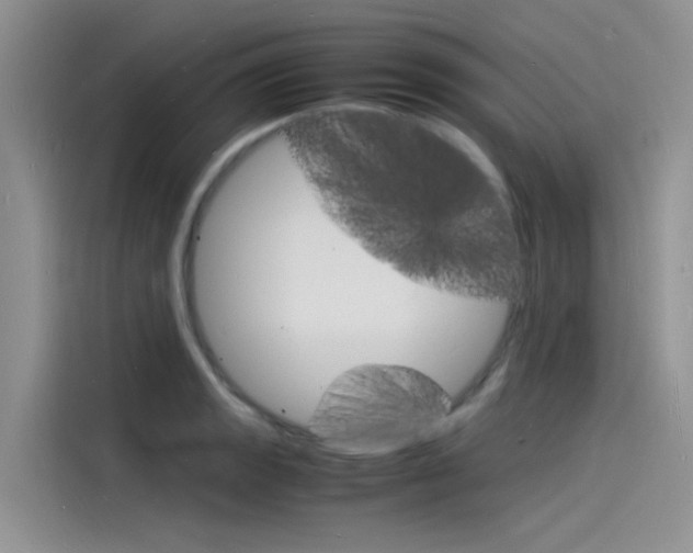 X0000115841133200911131101