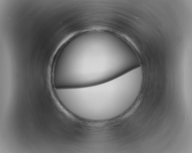 X0000115841134200911131101