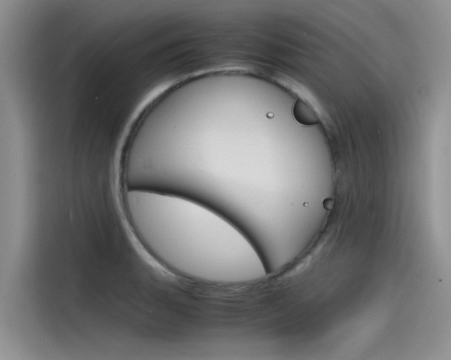 X0000115841135200911131101