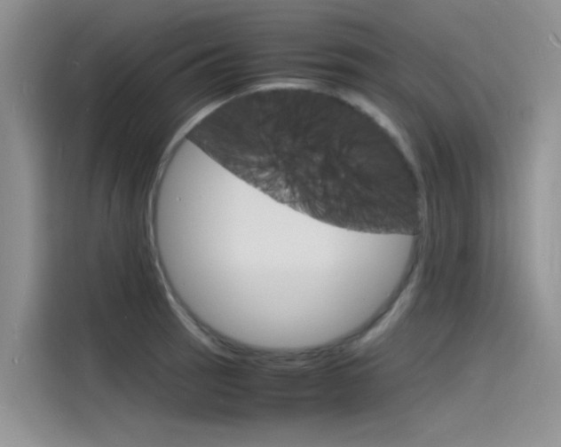X0000115841137200911131101