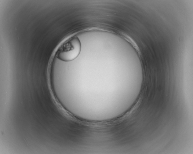 X0000115841138200911131101