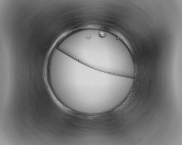 X0000115841139200911131101