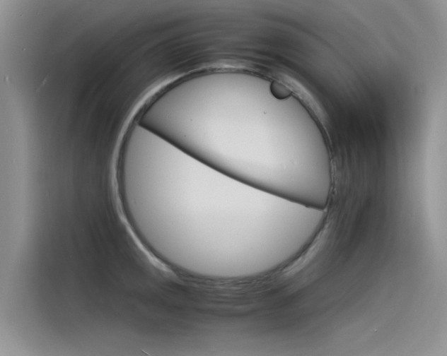 X0000115841141200911131101