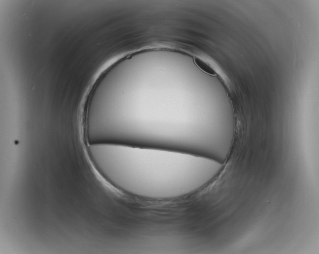 X0000115841143200911131101