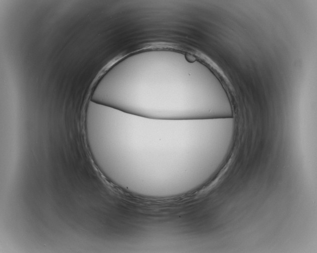 X0000115841145200911131101