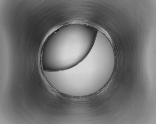 X0000115841146200911131101