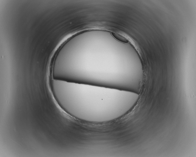 X0000115841147200911131101