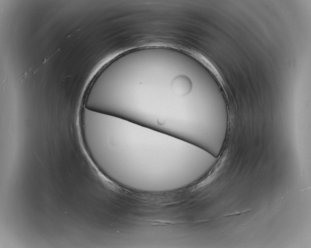 X0000115841149200911131101