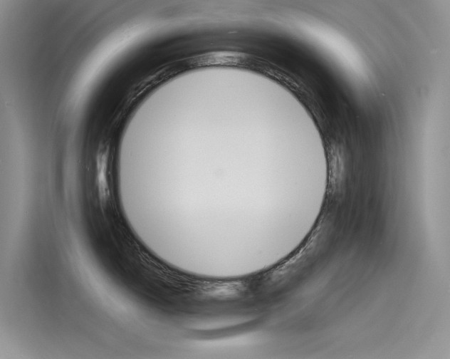 X0000115841150200911131101