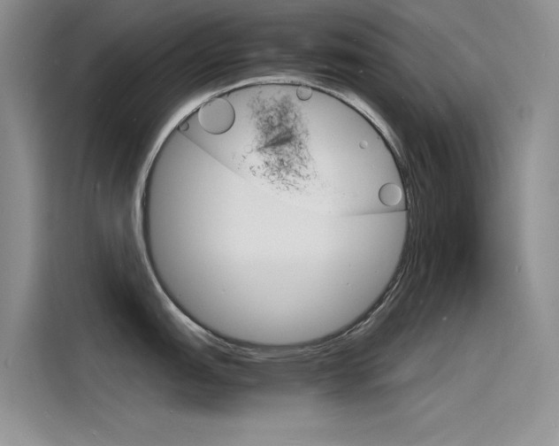X0000115841151200911131101