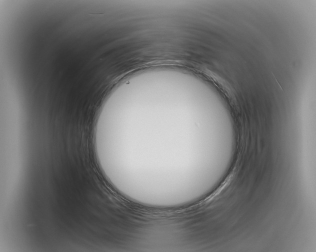 X0000115841161200911131100