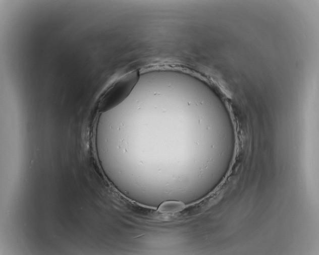 X0000115841165200911131100