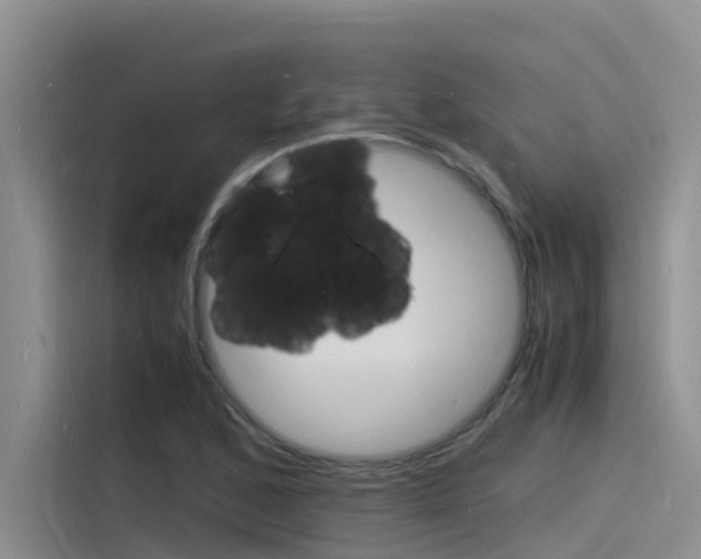X0000115841168200911131100