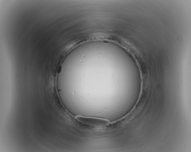 X0000115841169200911131100