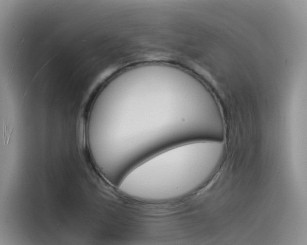 X0000115841171200911131100