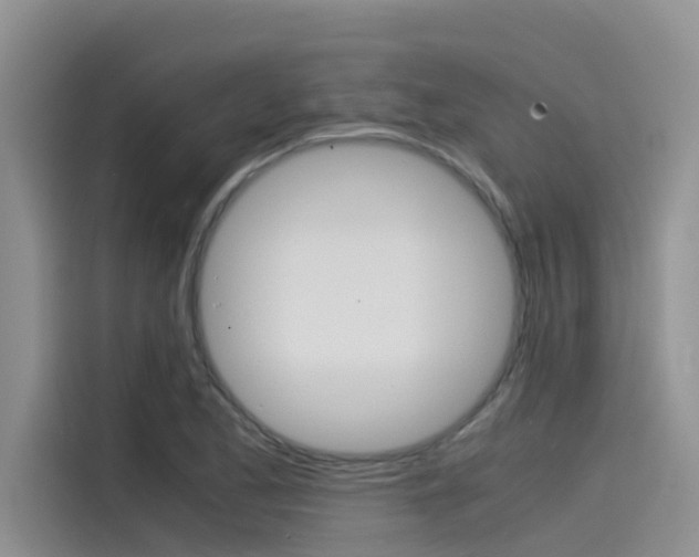 X0000115841173200911131100