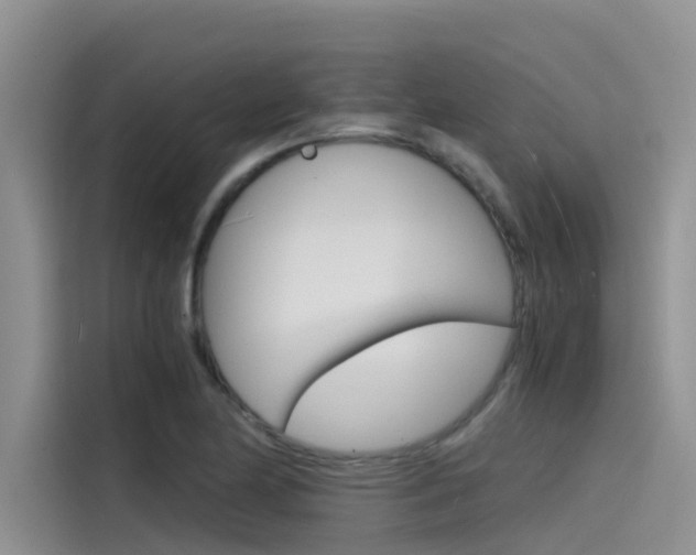 X0000115841174200911131100
