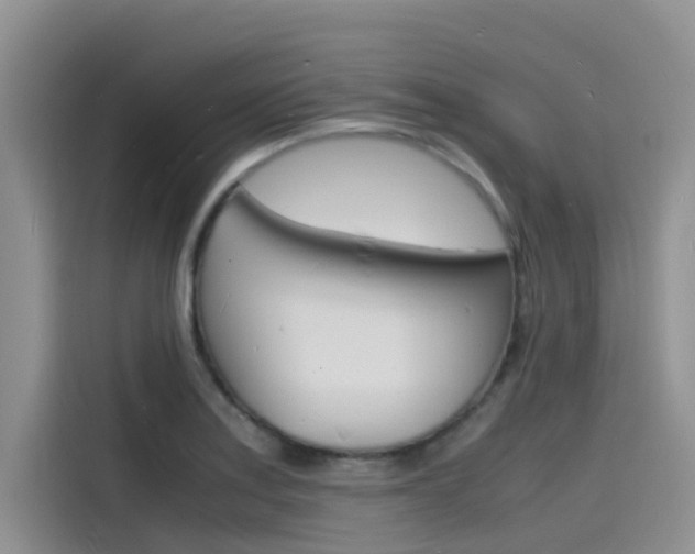 X0000115841179200911131100