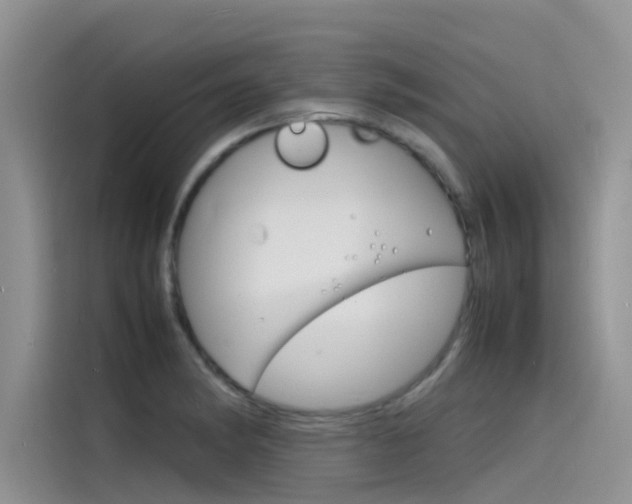 X0000115841182200911131100