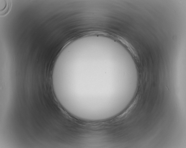 X0000115841185200911131100