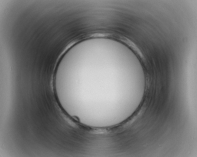 X0000115841186200911131100