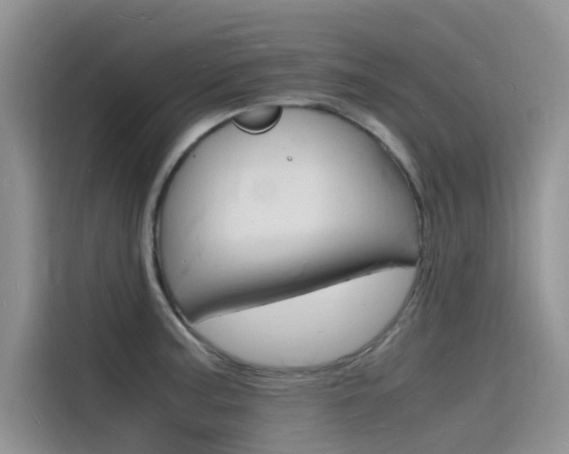 X0000115841187200911131100