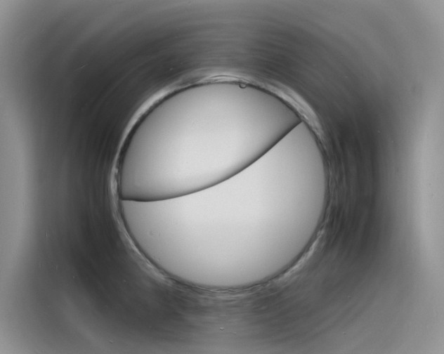 X0000115841190200911131100