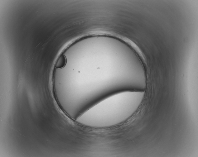X0000115841191200911131100