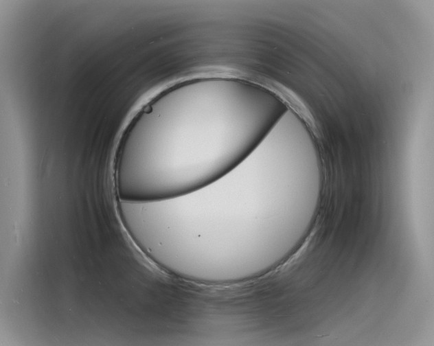 X0000115841192200911131100