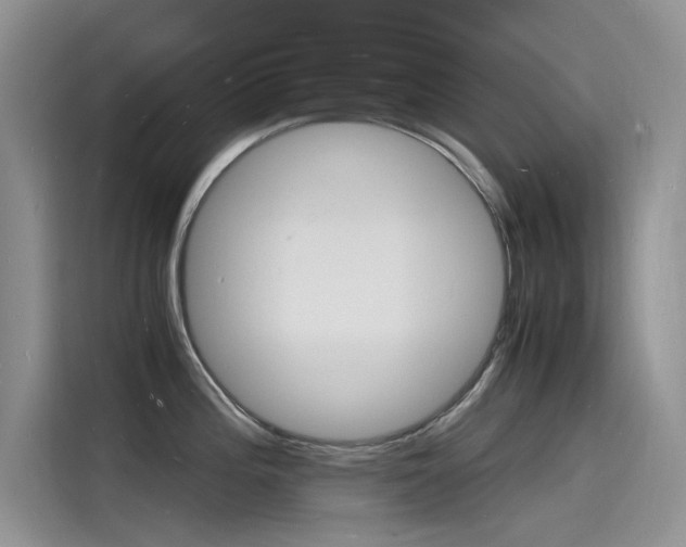X0000115841196200911131100