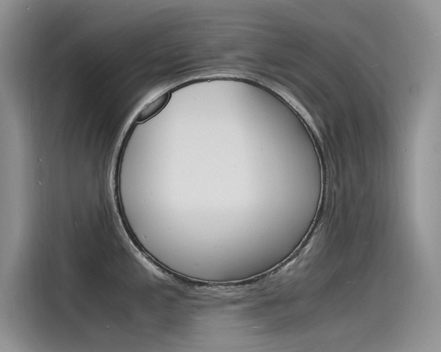X0000115841197200911131100