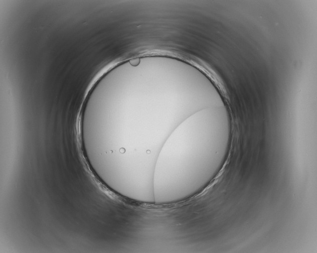 X0000115841198200911131100