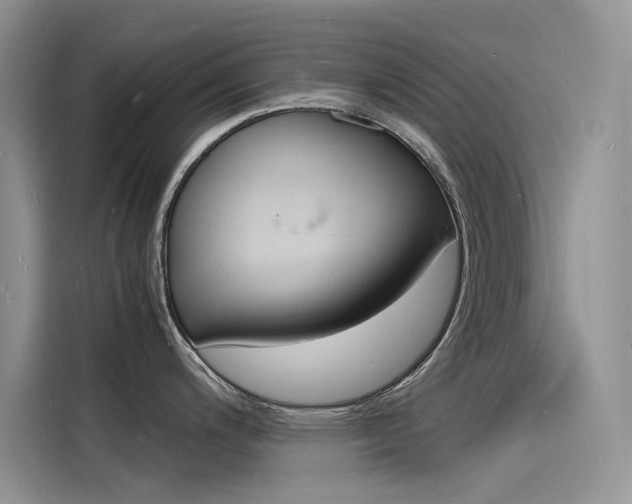 X0000115841200200911131100
