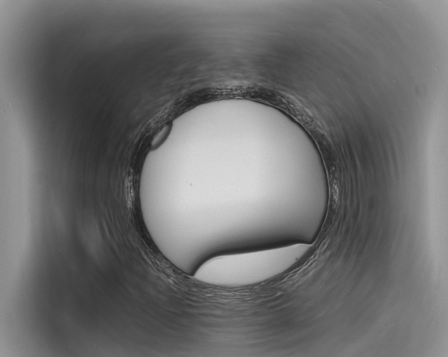 X0000115841204200911131059