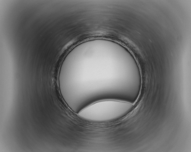 X0000115841210200911131059