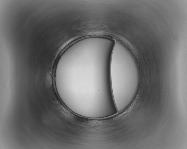 X0000115841212200911131059